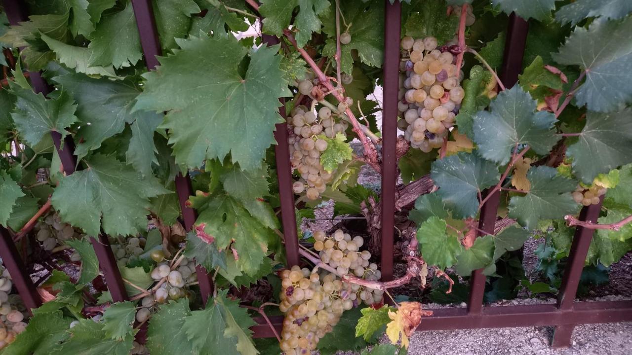 Villa Vinka Mostar Eksteriør billede