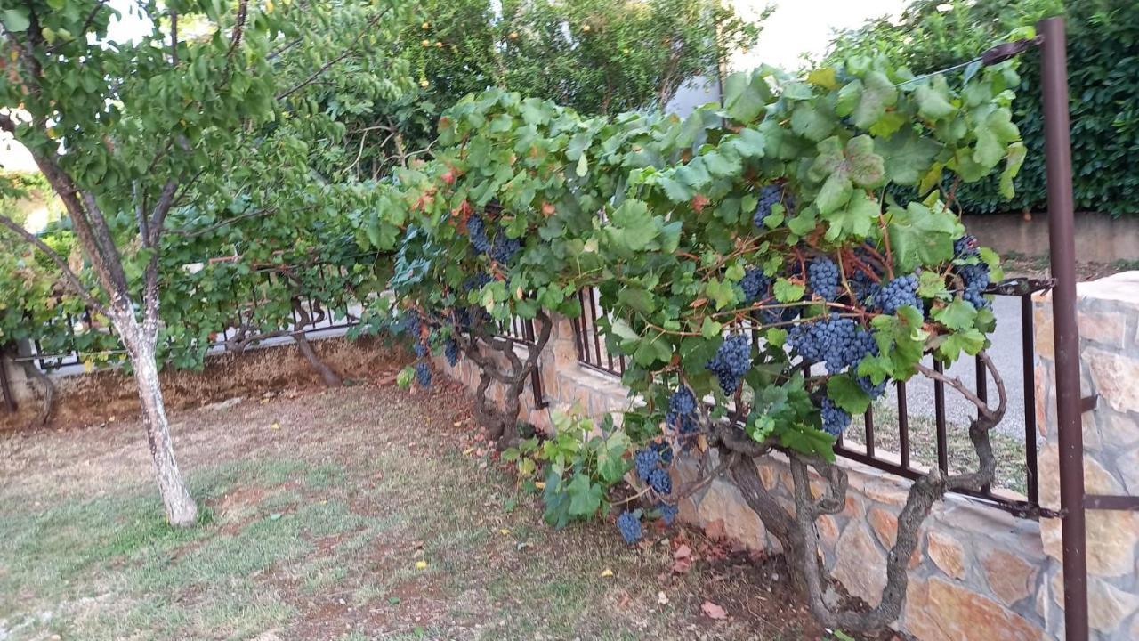 Villa Vinka Mostar Eksteriør billede